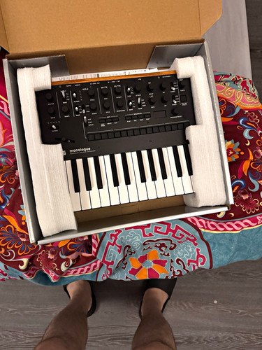 Korg monologue analogue - monologue,