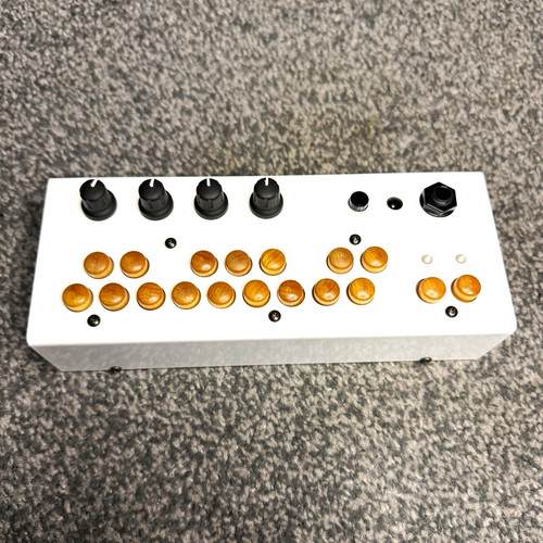 Critter guitari bolsa - guitari,